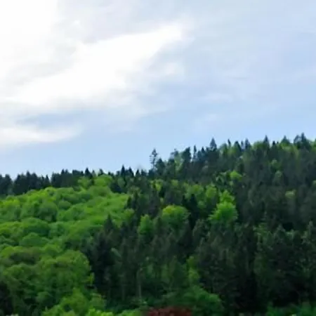 Prinzen 3* Каппельродек