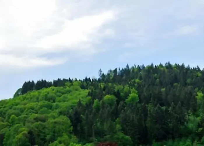 Prinzen 3* Kappelrodeck