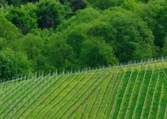 Prinzen 3* Kappelrodeck